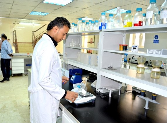 سياسة الجودة